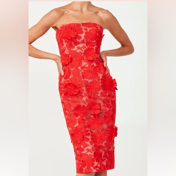 HELSI Cecilia Poppy Strapless Corset Back 3D Floral Midi Dress Size Small - Picture 1 of 9